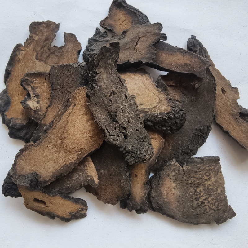 肉苁蓉个子，规格齐全硬大芸统货