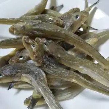 批发葫芦岛海扔巴鱼干