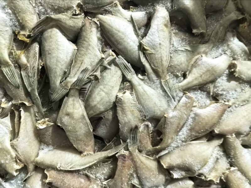 去头去脏马面鱼