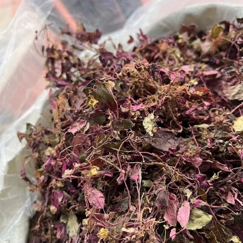 高山小叶***野生风柜斗草来自山农的一手货源产地批发！