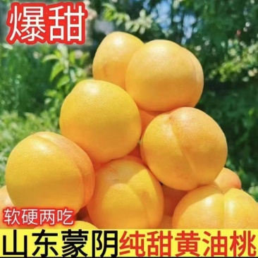 山东蒙阴正宗油黄桃支持电商代发