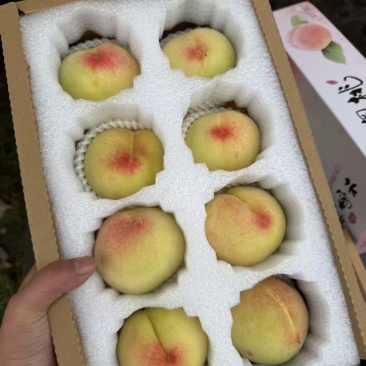 无锡阳山水蜜桃，3两/4两八个每箱