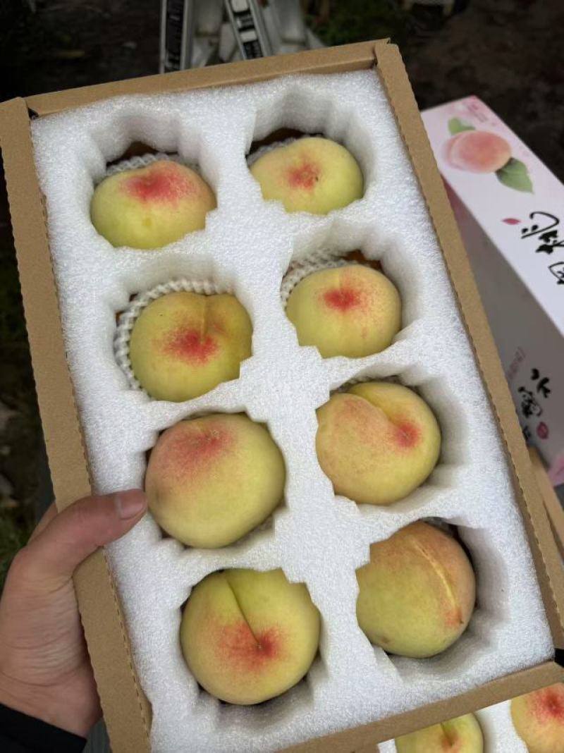 无锡阳山水蜜桃，3两/4两八个每箱