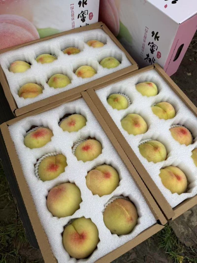 无锡阳山水蜜桃，3两/4两八个每箱