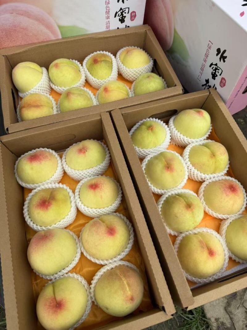 无锡阳山水蜜桃，3两/4两八个每箱
