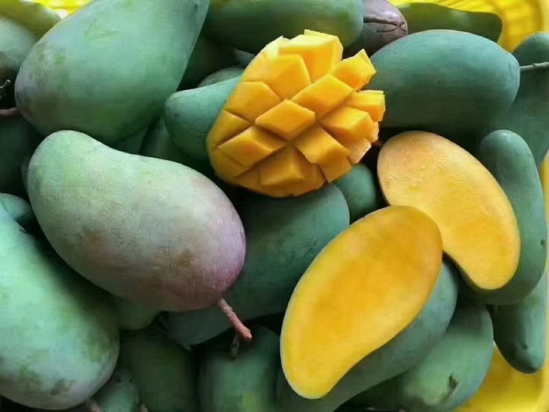 贵菲
