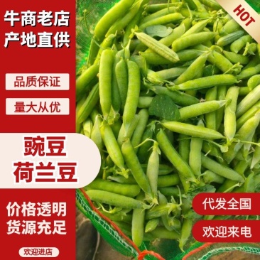精品豌豆欢迎客商洽谈采购，质量好价格不贵