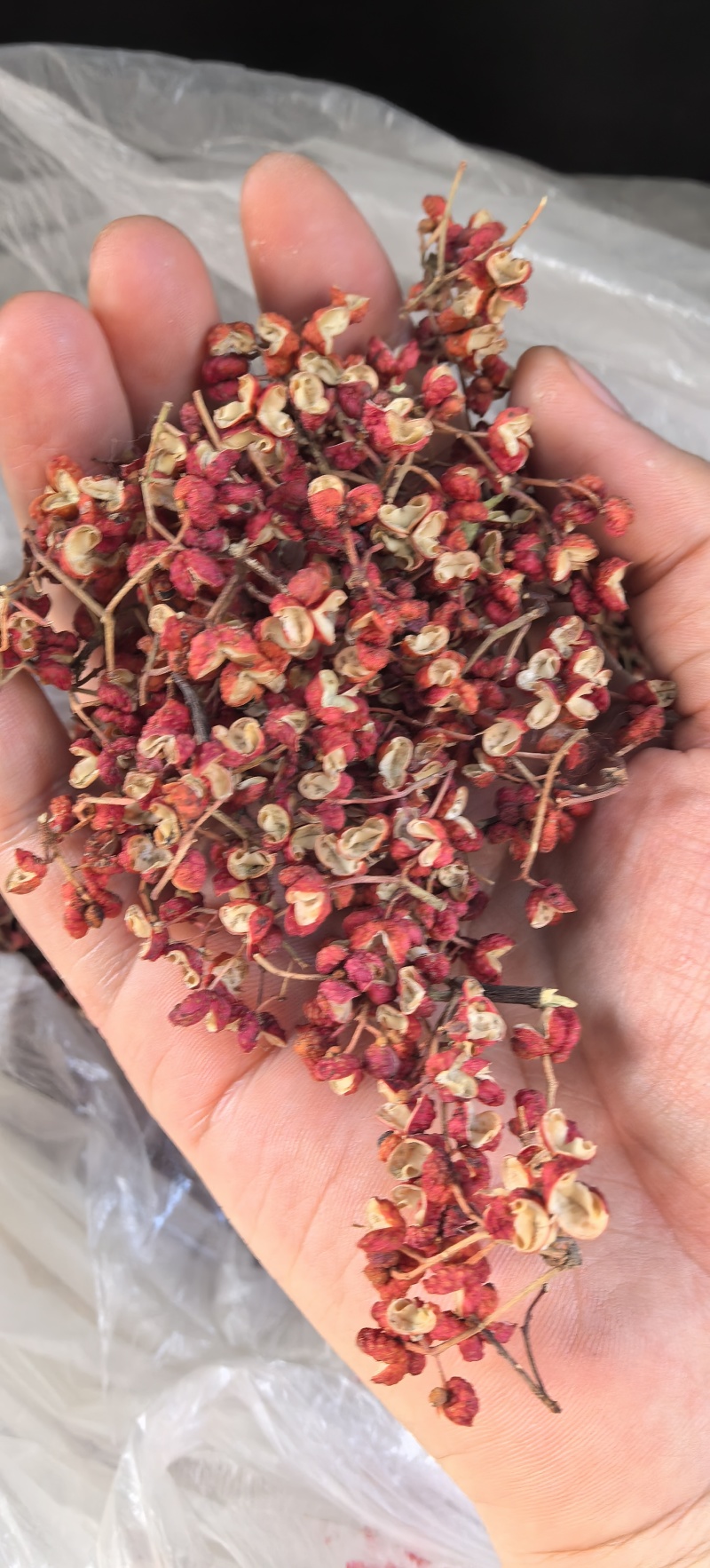 自家的大红袍花椒，颜色好，味道麻