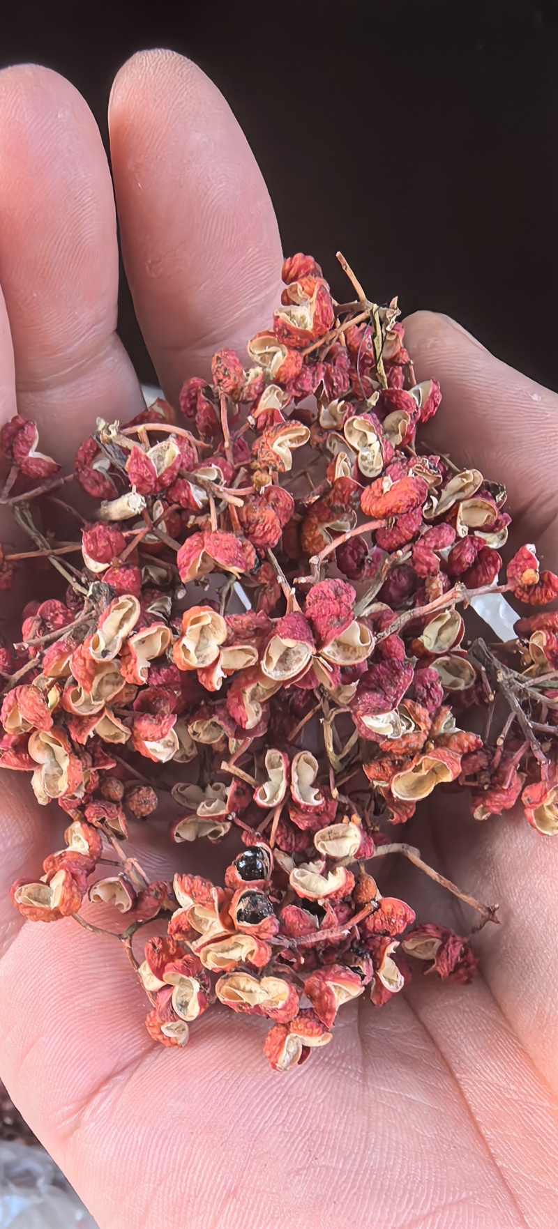 自家的大红袍花椒，颜色好，味道麻