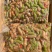 批发卤花生全熟麻辣花生对接市场档口商超饭店稳定供