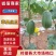四川蔬菜苹果丝瓜丝瓜瓜类常年供应量大从优欢迎电联