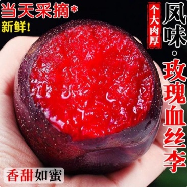 一件代发风味玫瑰血丝李