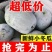 山东水果冬瓜冬瓜大量有货产地直发质量保证欢迎咨询
