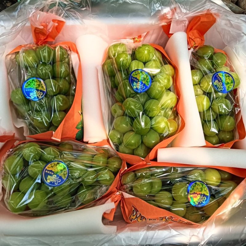 自家种的阳光玫瑰葡萄便宜点也可以卖