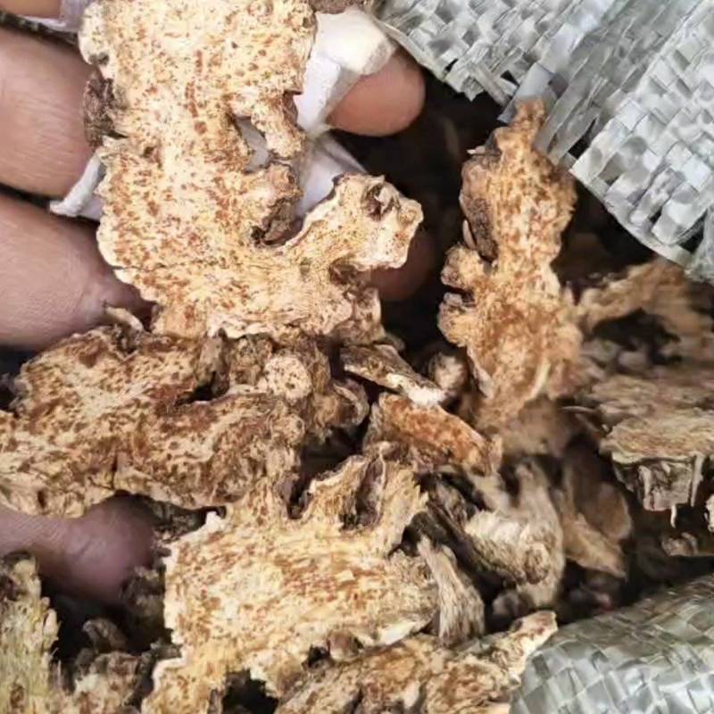 带朱砂点苍术片中药材无硫苍术片根个子苍术颗粒苍术粉批发