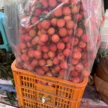 深圳荔枝基地大量供应荔枝老板➕***********