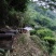 大北山森林公园土蜂蜜（今年冬蜜开始上市，欢迎购买）