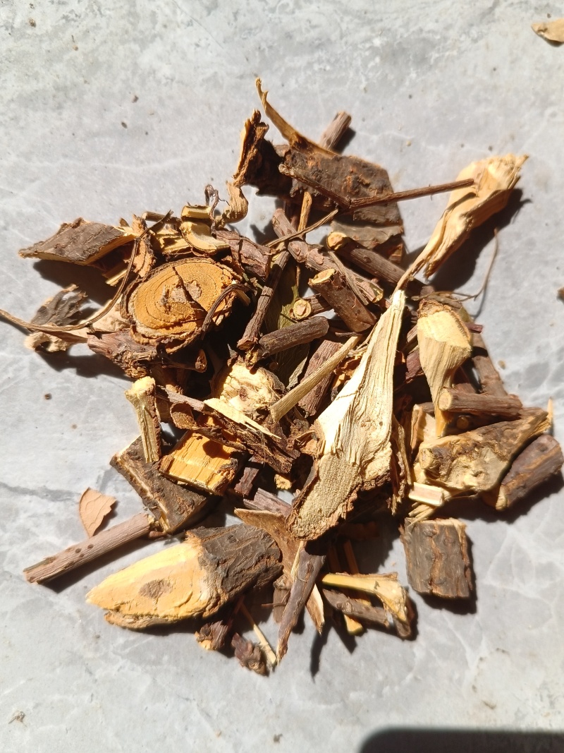 接骨木八棱麻接骨草