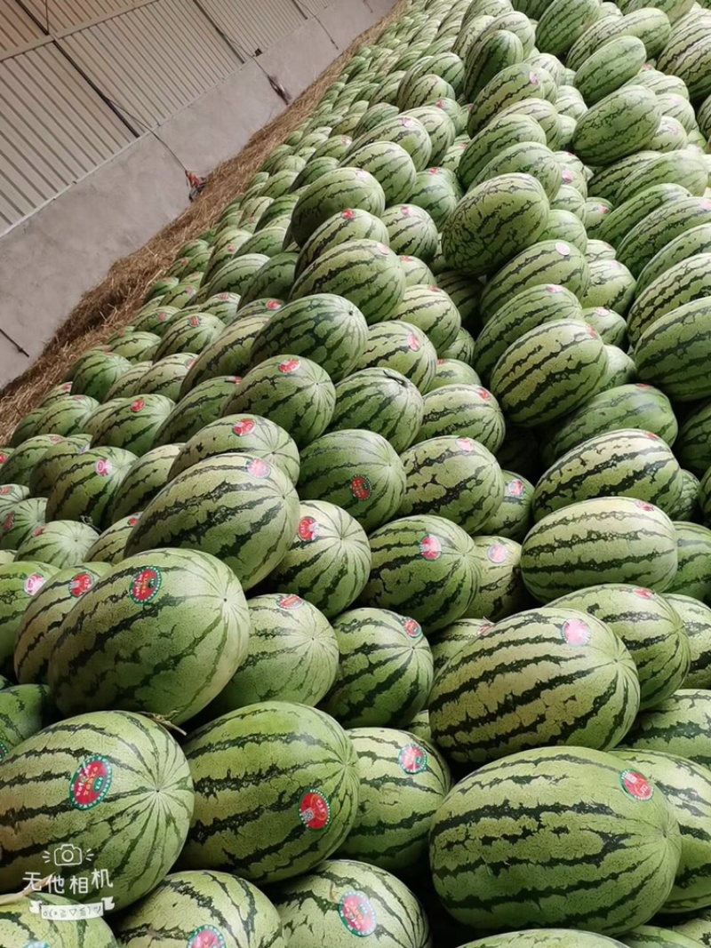 {优选}硒砂瓜，石头瓜，宁夏硒砂瓜，硒砂瓜