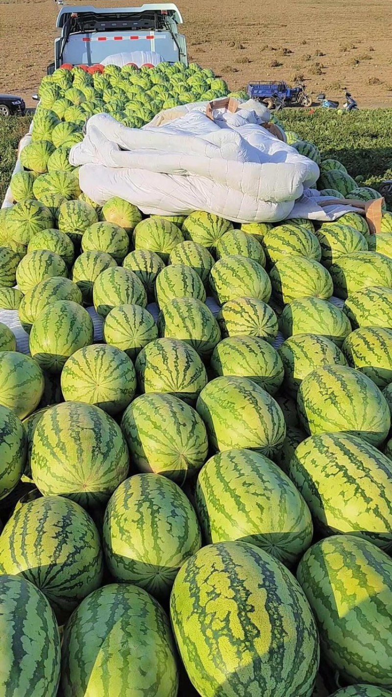{优选}硒砂瓜，石头瓜，宁夏硒砂瓜，硒砂瓜