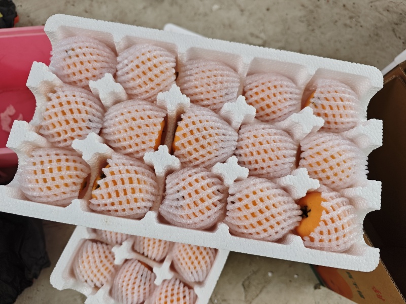石棉晚熟枇杷