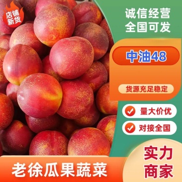 晚油48砀山油桃,硬度好耐运输,对接全国客商