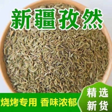 孜然新货正宗新疆孜然颗粒干净无杂质批发零售