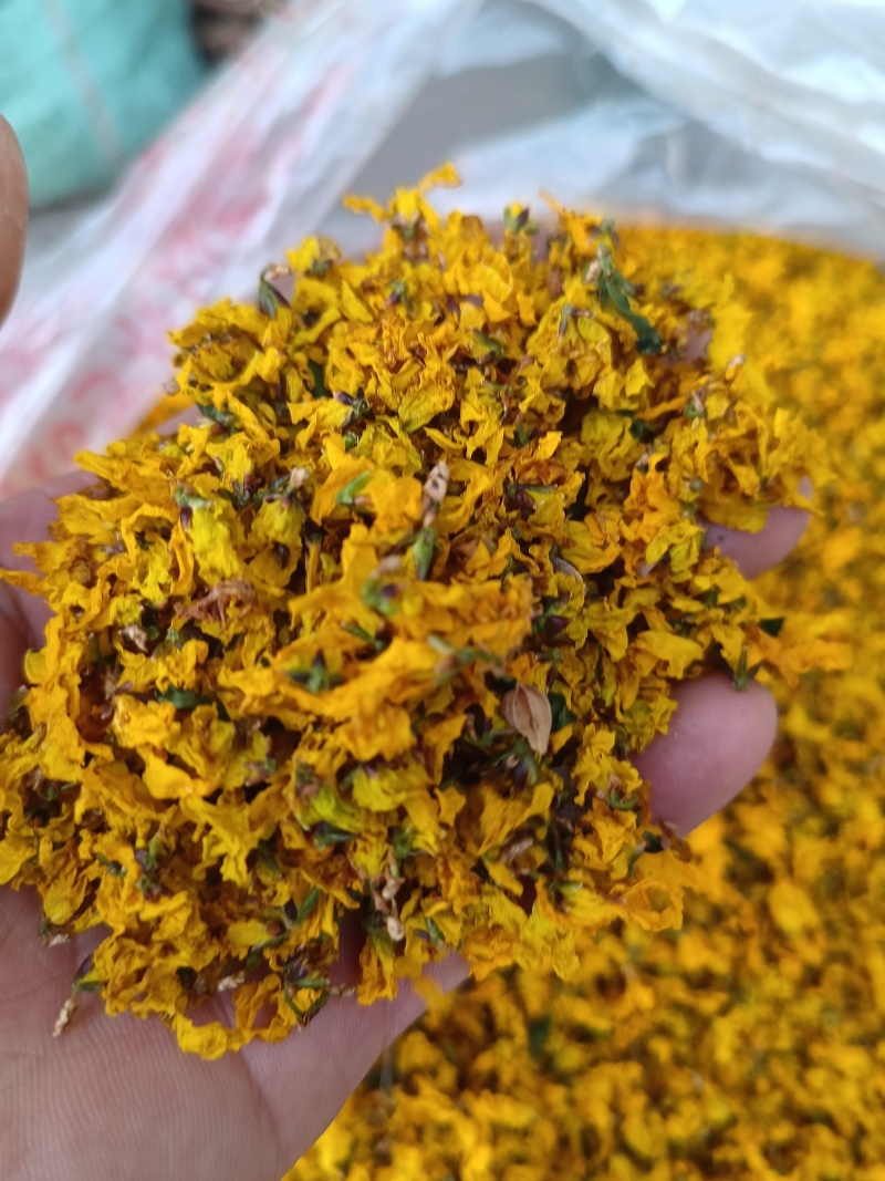 连翘花茶河南伏牛山产地直销