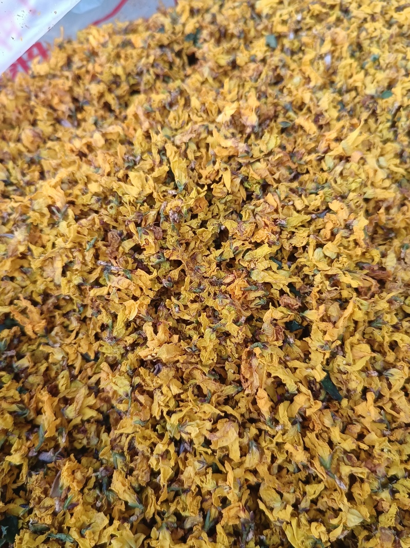 连翘花茶河南伏牛山产地直销