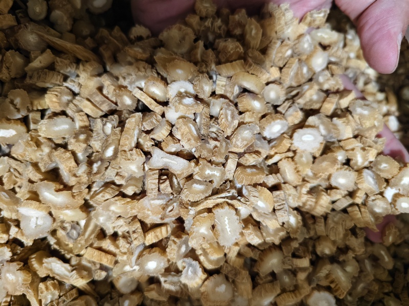 百部中药材百部切片规格齐全批发零售
