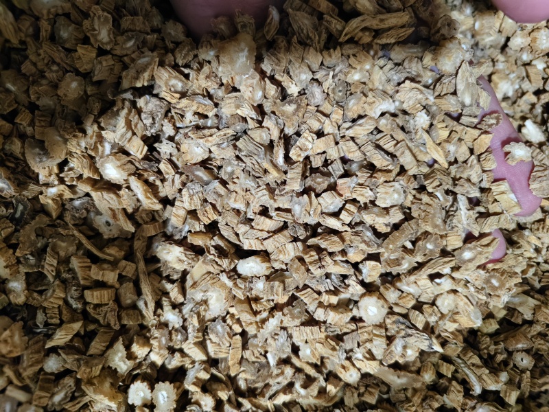 百部中药材百部切片规格齐全批发零售