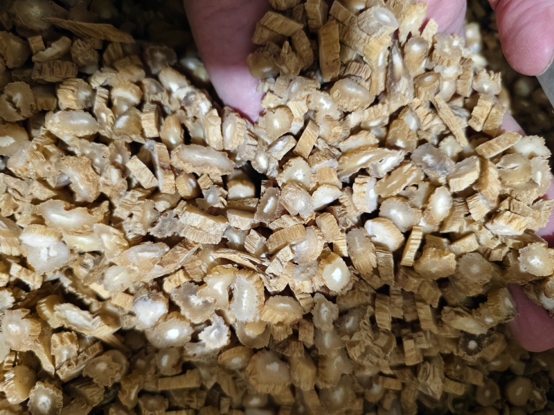 百部中药材百部切片规格齐全批发零售