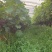 自家大棚种植夏黑，粒大饱满，果粉足，口感正宗，甜度高。