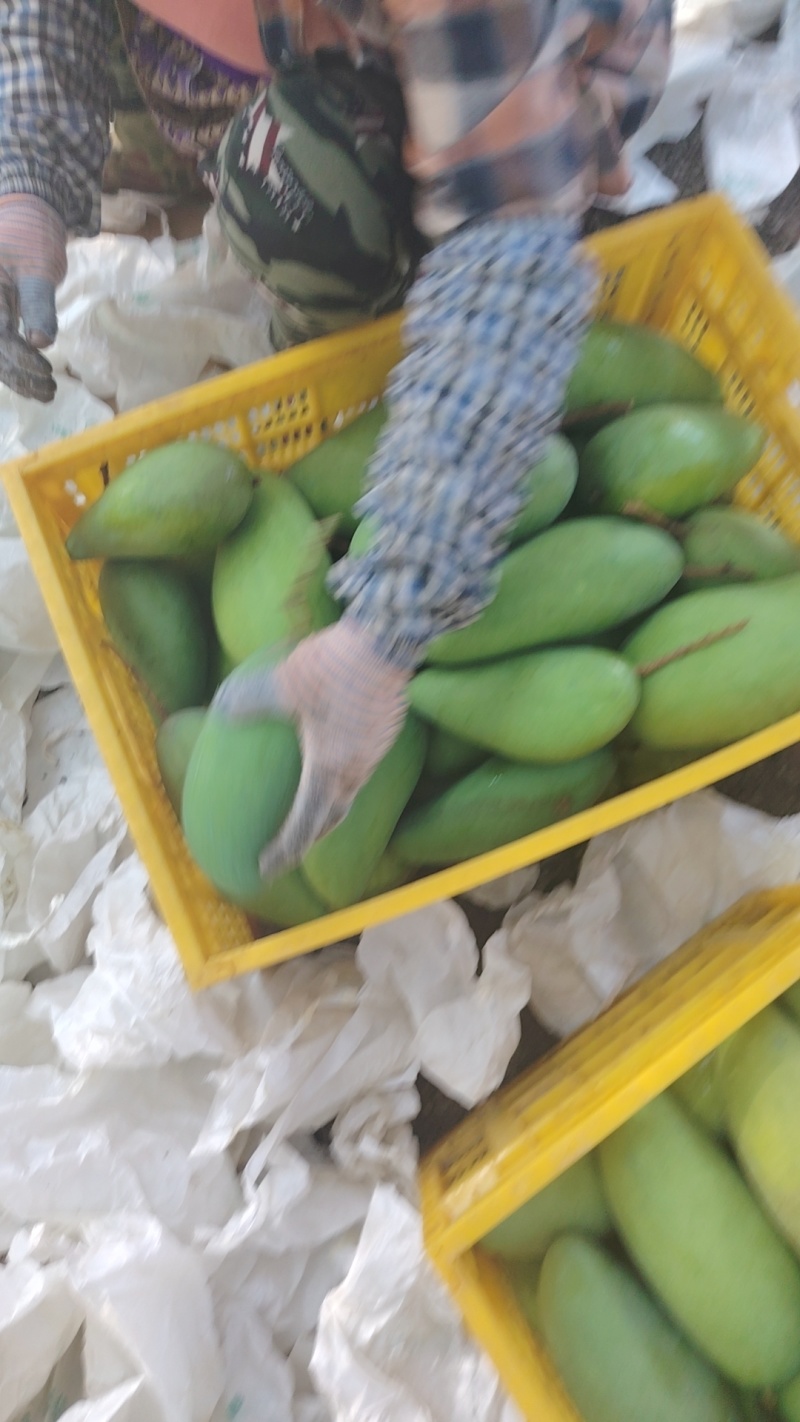 电商大青芒