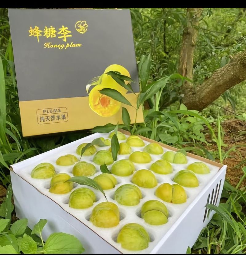 蜂蜜李，脱骨脆甜**享受，蓄势待发欢迎合作。
