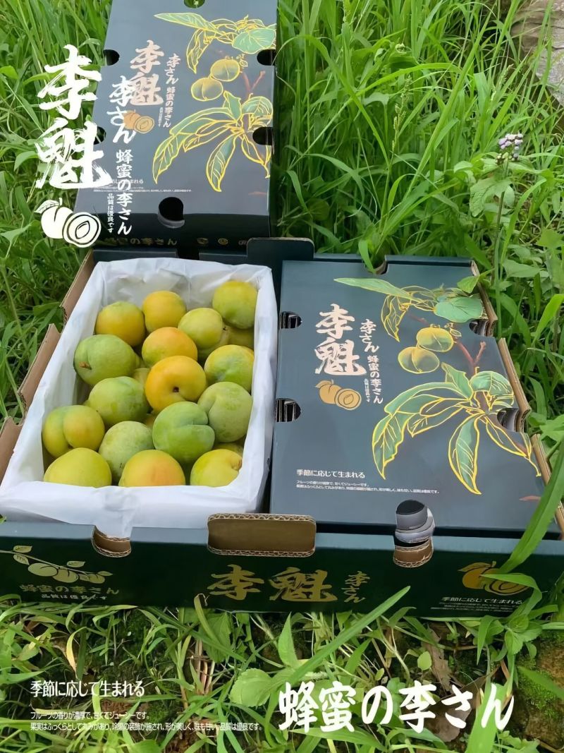 蜂蜜李，脱骨脆甜**享受，蓄势待发欢迎合作。