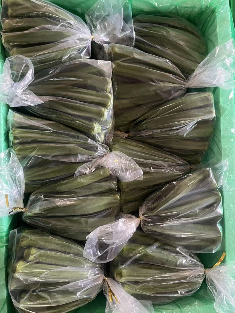 福建精品秋葵万亩产地货源充足欢迎各地客商来电咨询