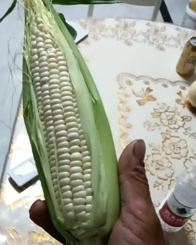 白糯玉米