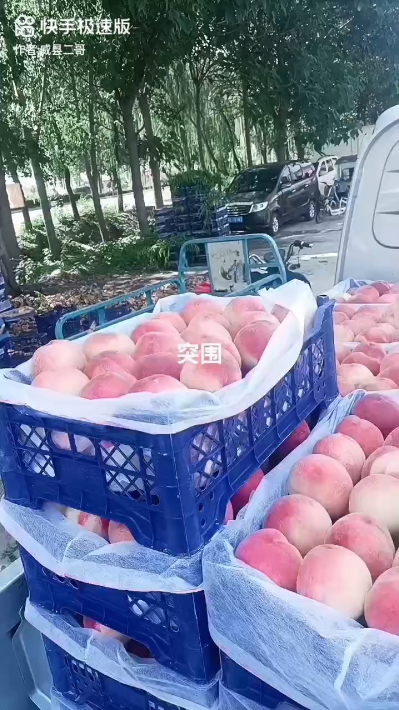 (突围桃)产地直发，保质保量，口口爆汁，实力代办。