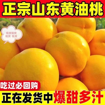 《黄金油桃》山东油桃/一件代发/量大从优/全国包邮