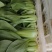 推荐江苏小青菜油菜上海青货源充足价格实惠欢迎联
