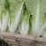 江苏小白菜品质好价格优欢迎联系货源充足全国发货