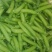 吉林优质豌豆青豌豆，产地一手货源保质保量欢迎来电