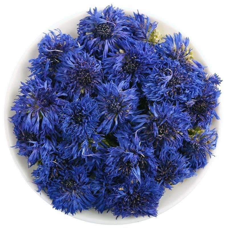矢车菊