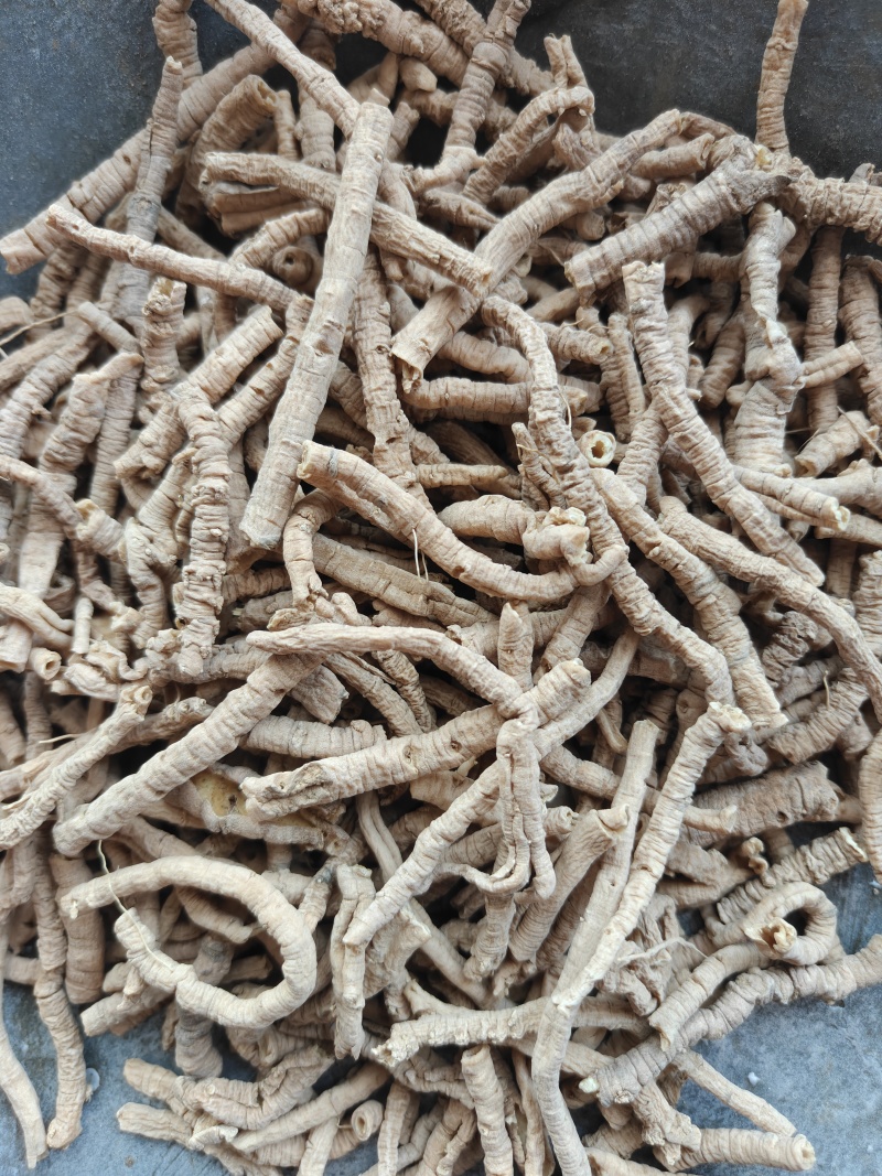 远志精选筒无硫地道药材关书药业1000g起批