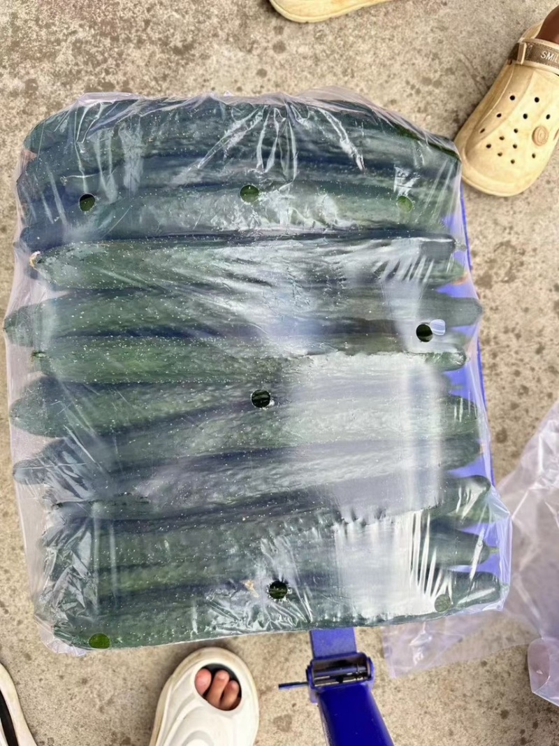 贵州黄瓜蜜刺黄瓜青瓜，一手货源，支持货到付款