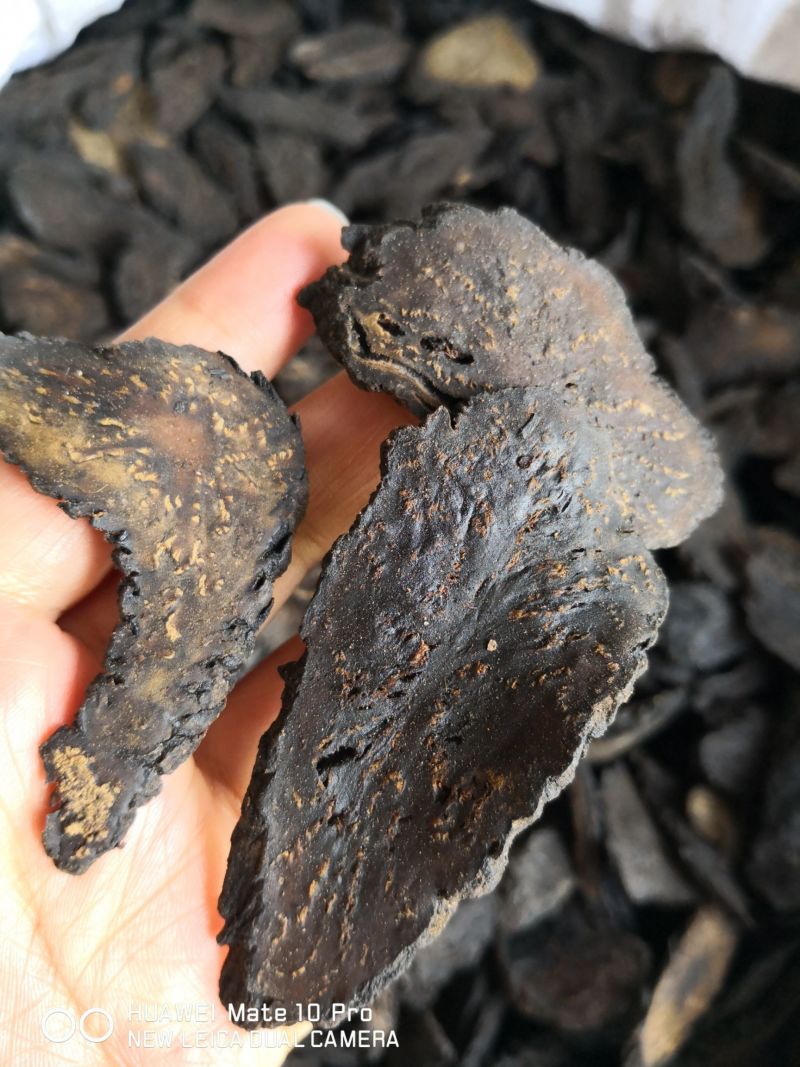 肉苁蓉软片自然生长选货大片量大优惠