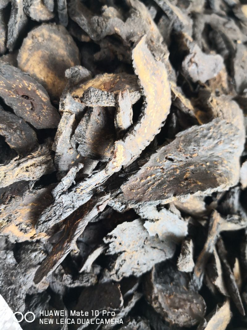 肉苁蓉软片自然生长选货大片量大优惠