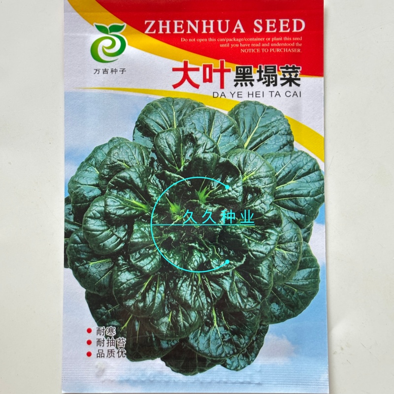 大叶黑塌菜种子叶片大肥厚墨绿乌塌菜种子耐寒耐抽苔黑乌塌菜