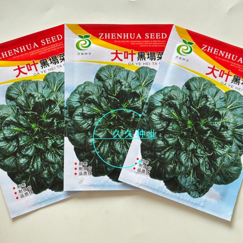 大叶黑塌菜种子叶片大肥厚墨绿乌塌菜种子耐寒耐抽苔黑乌塌菜
